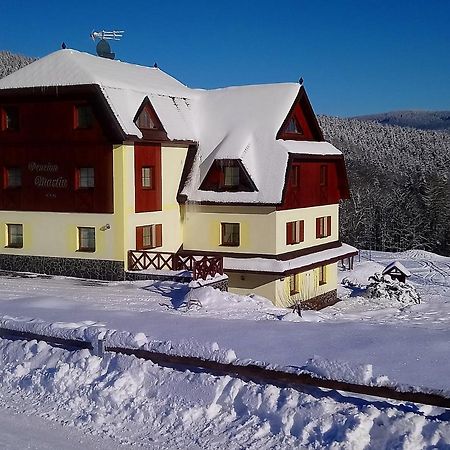 Penzion Martin Janske Lazne Exterior photo